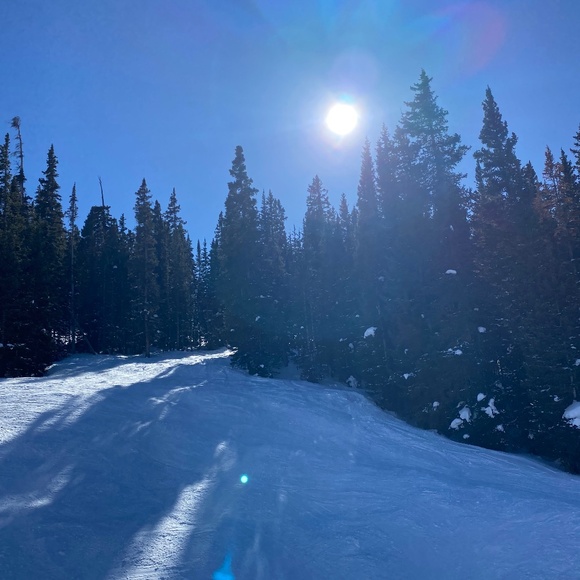 Meet your Posher, Mila - Picture 1 of 1